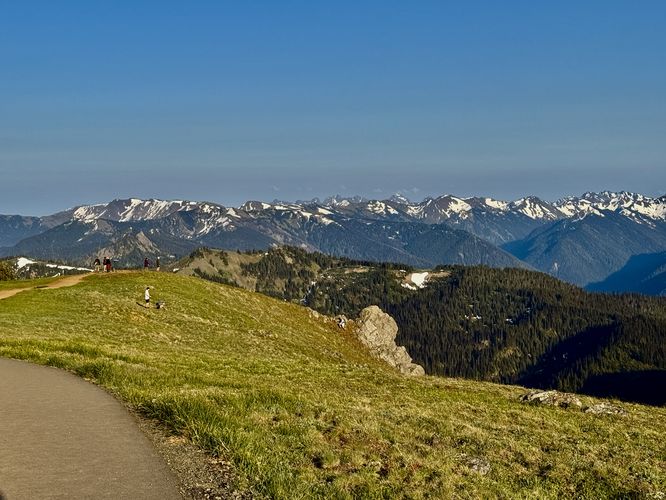 Picture 41 of Hurricane Hill Trail