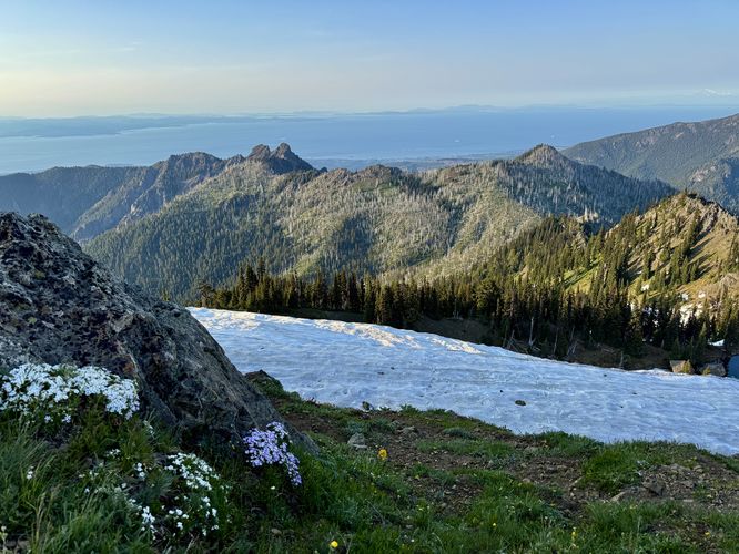 Picture 42 of Hurricane Hill Trail