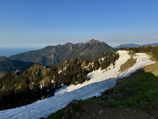 Picture 43 of Hurricane Hill Trail