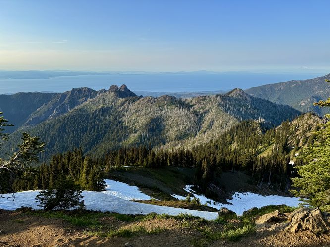 Picture 48 of Hurricane Hill Trail