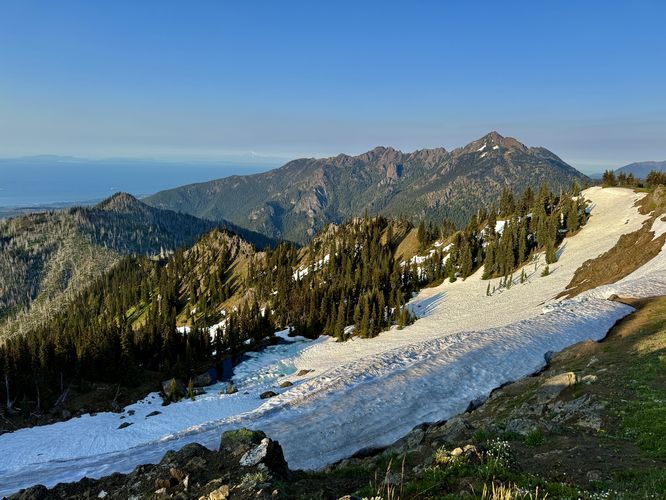 Picture 50 of Hurricane Hill Trail