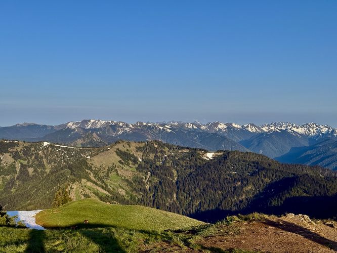 Picture 53 of Hurricane Hill Trail