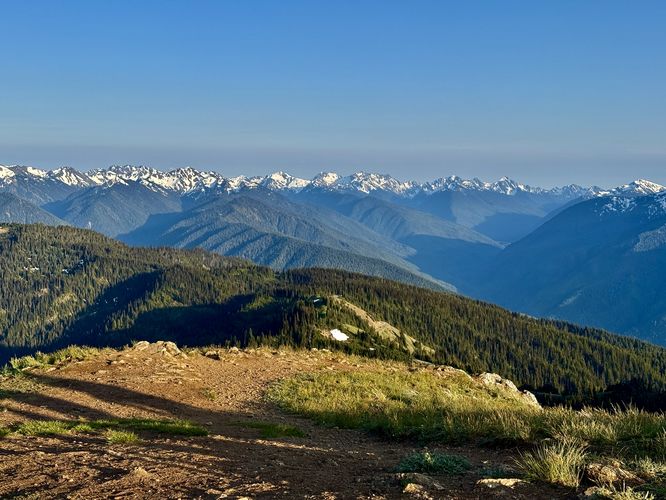 Picture 55 of Hurricane Hill Trail