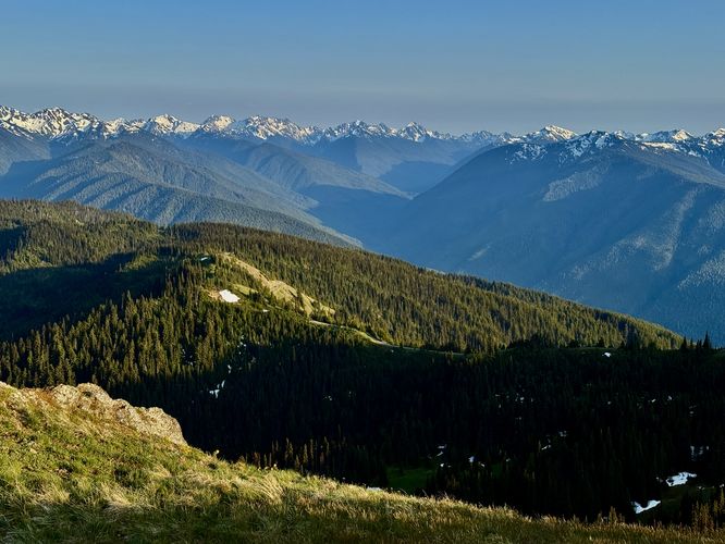Picture 57 of Hurricane Hill Trail