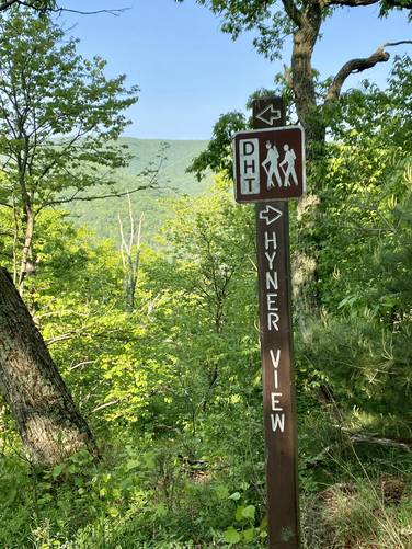 Donut Hole Trail / Hyner View junction