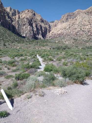 Trail begins across the desert