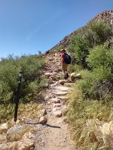 Trail starts to incline and get a bit rocky