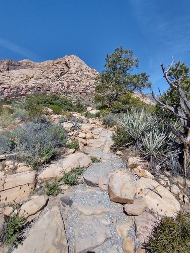 Rocky trail substrate