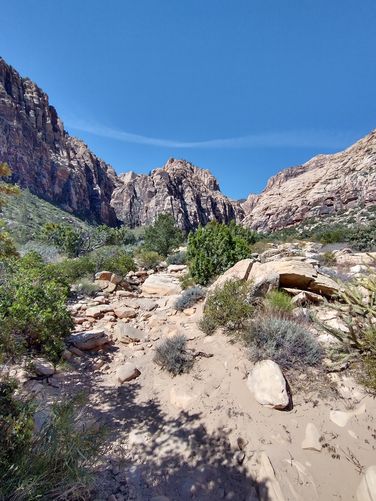 View into the Canyon
