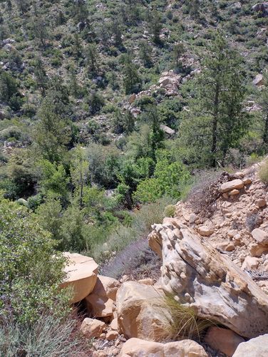View down into the Canyon