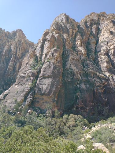 Canyon Walls