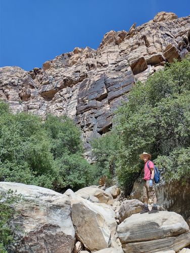 Watch your footing along the trail