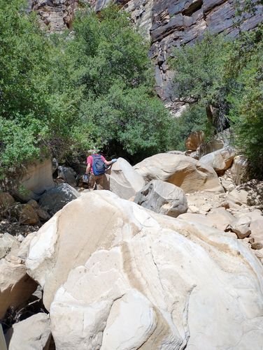 The rock scramble begins