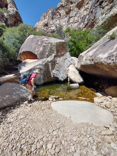 First pool of water encountered on the trail