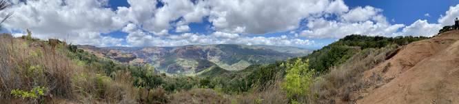 Panoramic vista of Waimea Canyon