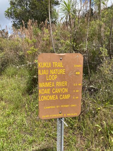 Picture 28 of Iliau Trail