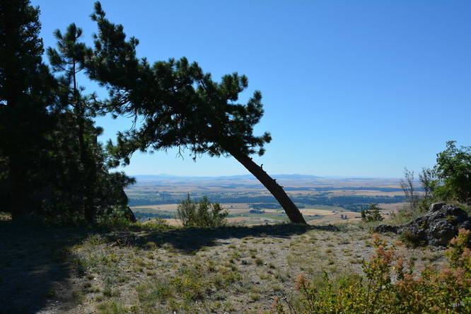 Picture 4 of Iller Creek Loop