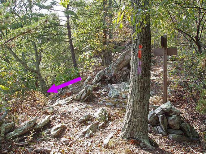 Picture 2 of Indian Grave Ridge Hike 092504