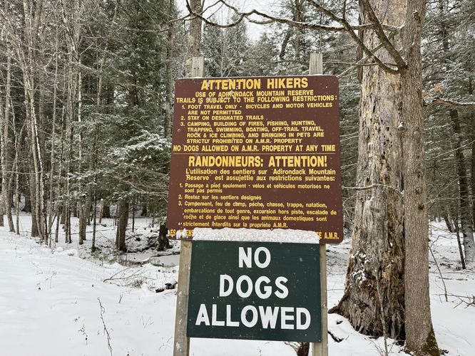 AMR - no dogs allowed