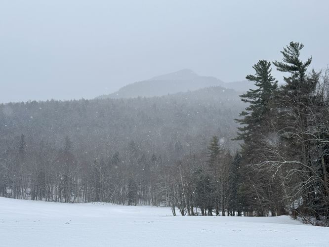 Mountain views from the road