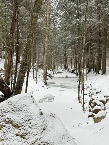 Scenic frozen creek