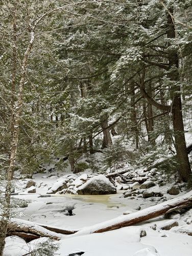 Winter creek scenery in the Adirondack Mountain Reserve