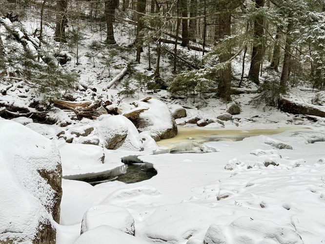 Frozen Gill Brook