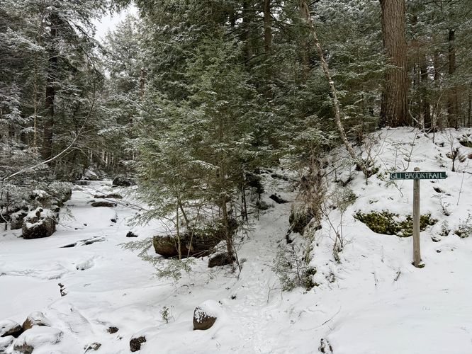 Gill Brook Trail trailhead