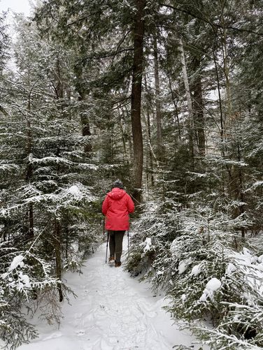 Hiking the Gill Brook Trail