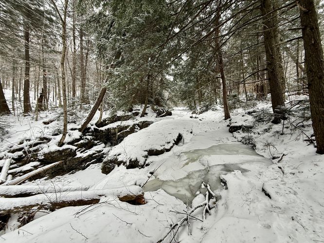 Slick ice along the Gill Brook Trail during winter