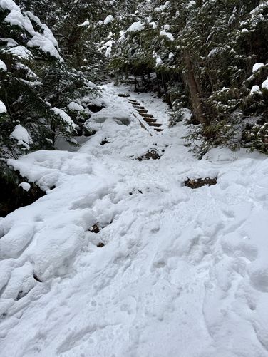 Steep trail with ladder