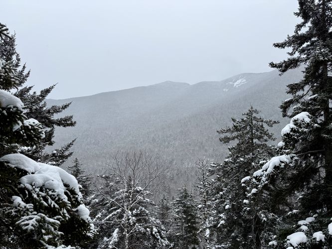 View on south slopes of Indian Head