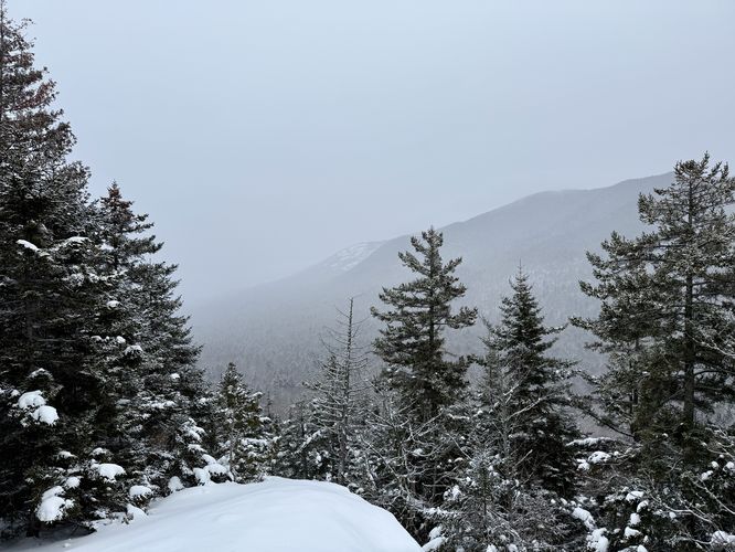North Overlook on Indian Head