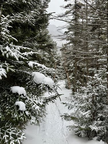 Indian Head's summit area