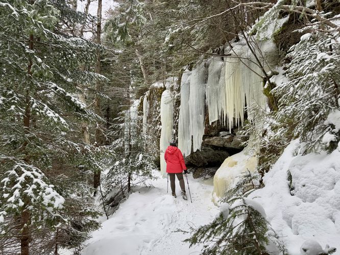 Checking out the ice