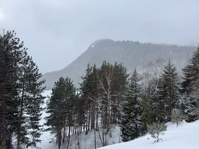 View of low elevation slopes on Sawteeth Southeast