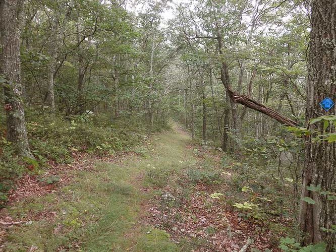 Picture 4 of Ingals Overlook Hike 082210