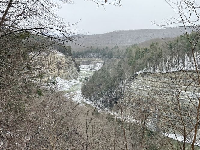 North-facing view into Letchworth Gorge