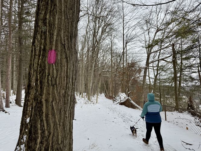 Hiking the Gorge Trail to Lower Falls at Letchworth State Park