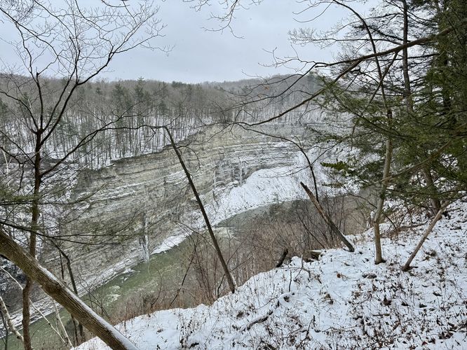 Semi-obstructed view into Letchworth Gorge