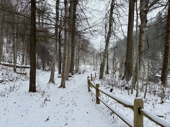 Snowy path leads to Lower Falls