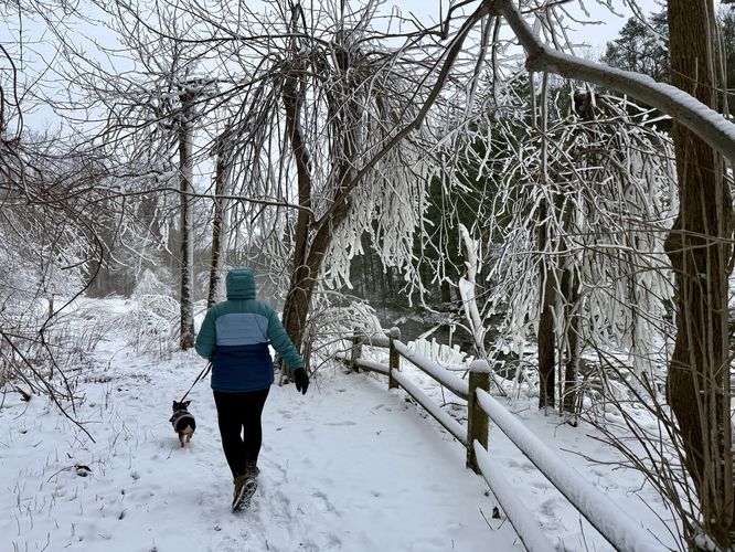 Hiking through frozen trees to reach Lower Falls