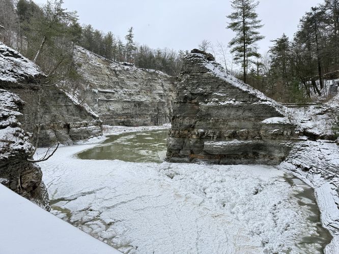 View of the Genesee River within the gorge from the footbridge