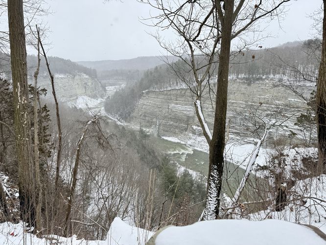 North-facing view into the gorge