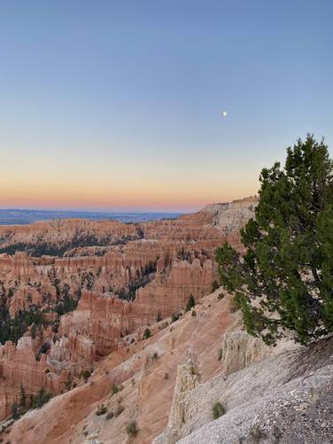 View of Bryce Canyon from Lower Inspiration Point