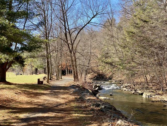 Trail meanders along a tributary creek