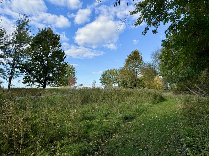 Grass trail runs alongside the universally-accessible pathway on the Island of the Commune