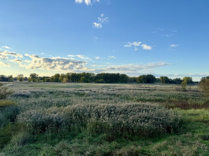Meadow view from the overlook