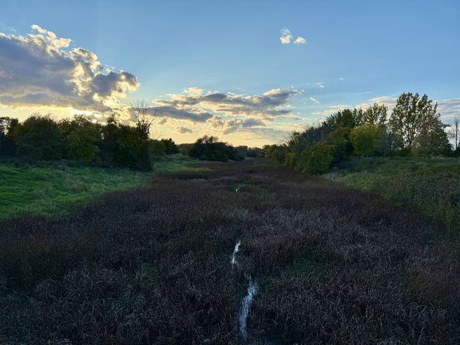 Water channel view
