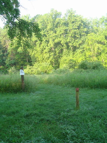 Picture 3 of Ivy Creek Hike 053011